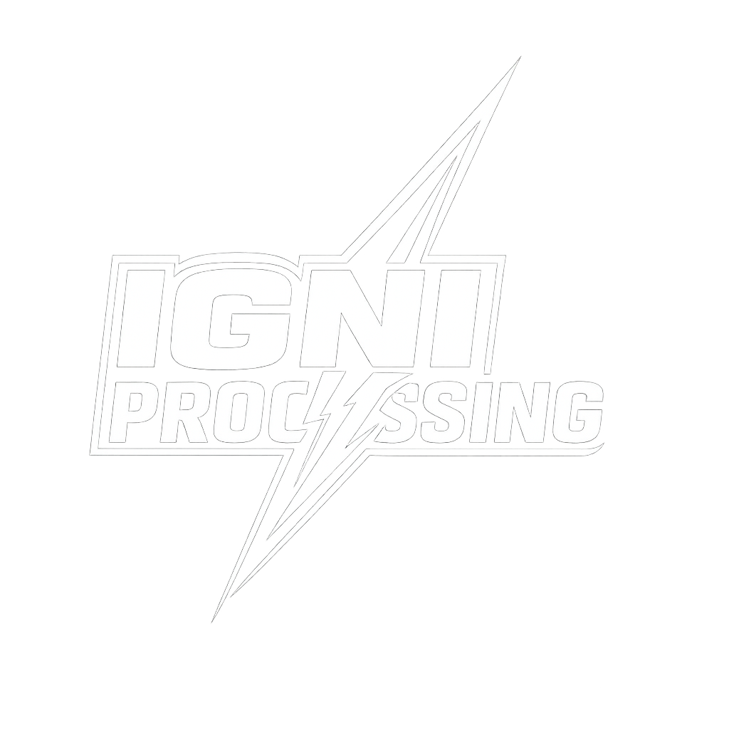IGNI PROCESSING